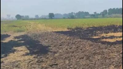 Both incidents were brought to light by fellow farmers who alerted local authorities about the violations, said officials.