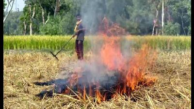 Paddy straw being burnt in a field in Fazilka on Friday. (ANI) Paddy straw being burnt in a field in Fazilka on Friday. (ANI)