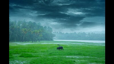 The author’s avowed lifelong dream has been to predict the Indian monsoon. (Shutterstock) The author’s avowed lifelong dream has been to predict the Indian monsoon. (Shutterstock)