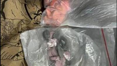 The seized narcotics. (HT Photo) The seized narcotics. (HT Photo)