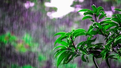 ఏపీ, తెలంగాణ వర్షాలు ఏపీ, తెలంగాణ వర్షాలు