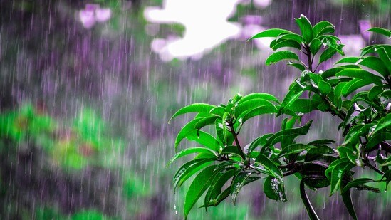 ఏపీ, తెలంగాణ వర్షాలు