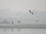 AAP alleged BJP was trying to woo the voters ahead of Bihar elections (Sanchit Khanna/ HT)