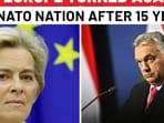 Putin's man in NATO under pressure Putin's man in NATO under pressure