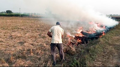 A man burns stubble in a field at Chutala village in Tarn Taran on Saturday. (ANI Video Grab) A man burns stubble in a field at Chutala village in Tarn Taran on Saturday. (ANI Video Grab)