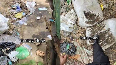 The video showed a tree trunk and water pipes obstructing the walkway, further highlighting the challenges pedestrians face. (X@caleb_friesen2) The video showed a tree trunk and water pipes obstructing the walkway, further highlighting the challenges pedestrians face. (X@caleb_friesen2)