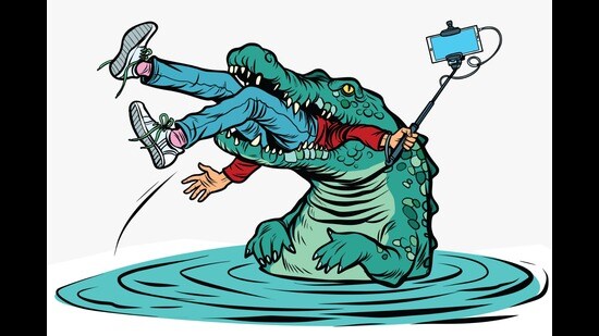 ‘Out of the frying pan...’ in Indonesian becomes ‘out of the tiger’s mouth, and into the crocodile’s’. (Shutterstock)