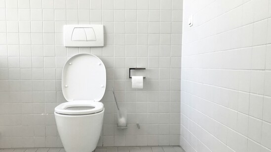Oil India to fund construction of 47 toilet facilities for girl students in Meghalaya (Unsplash)