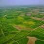 ఇనాం భూములపై ప్రభుత్వం కీలక నిర్ణయం