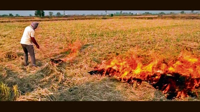 Paddy straw being burnt in Chutala village of Tarn Taran. The harvesting on 85% paddy areas of the district has been over. (ANI) Paddy straw being burnt in Chutala village of Tarn Taran. The harvesting on 85% paddy areas of the district has been over. (ANI)