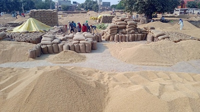 The grain market in Bathinda's Deon village. (Sanjeev Kumar/HT)