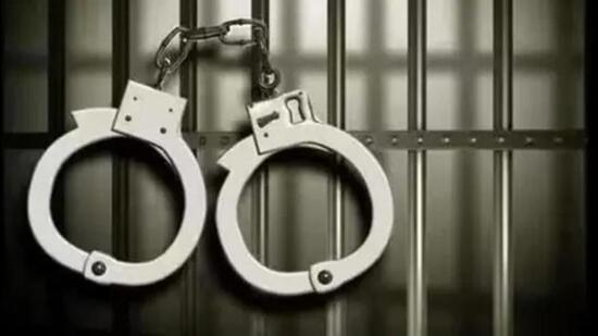 Officials said that all the apprehended persons, along with the seized items, have been handed over to the respective police stations for further legal action. (Representational image)