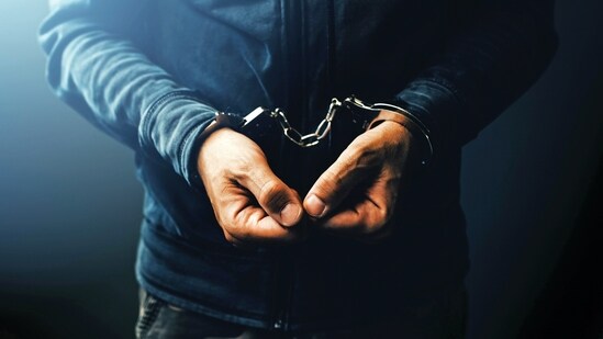 Police said the accused took advantage of his employer's absence during a hospital visit. (Representative Image)