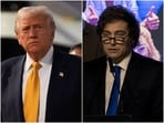 Trump's support for Milei (right) ahead of the vote included a $20 billion currency swap that is already signed and a proposed $20 billion debt investment facility. Trump's support for Milei (right) ahead of the vote included a $20 billion currency swap that is already signed and a proposed $20 billion debt investment facility.