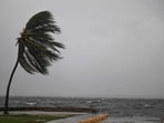 A coconut tree sways in the wind at the Kingston Waterfront on Ocean Boulevard in Kingston, Jamaica, as island starts to feel the effects of Hurricane Melissa A coconut tree sways in the wind at the Kingston Waterfront on Ocean Boulevard in Kingston, Jamaica, as island starts to feel the effects of Hurricane Melissa
