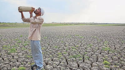 In this May 10, 2016, photo, a Shepard drinks water on the dry bed of Manjara Dam, which supplies water to Latur and nearby villages in Marathwada region, in the Indian state of Maharashtra. Failed monsoons play havoc with millions of farmers in central India leading to crippling poverty and soaring suicides. Some 400 farmers have killed themselves so far this year in the parched Marathwada region, which is home to about 19 million people.(AP Photo/Manish Swarup) (AP) In this May 10, 2016, photo, a Shepard drinks water on the dry bed of Manjara Dam, which supplies water to Latur and nearby villages in Marathwada region, in the Indian state of Maharashtra. Failed monsoons play havoc with millions of farmers in central India leading to crippling poverty and soaring suicides. Some 400 farmers have killed themselves so far this year in the parched Marathwada region, which is home to about 19 million people.(AP Photo/Manish Swarup) (AP)