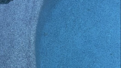 Viral brain teaser: Only eagle-eyed can find the frog in this image. (Reddit)