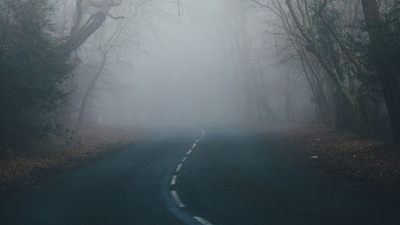 Heavy fog led to low visibility across multiple cities in Texas on Monday morning. (Unsplash) Heavy fog led to low visibility across multiple cities in Texas on Monday morning. (Unsplash)