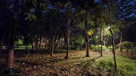 6,975 trees were planted in a 3,200 sqm area at Veer Savarkar Udyan, a municipal garden in Malad, in 2021. (Raju Shinde/HT Photo)