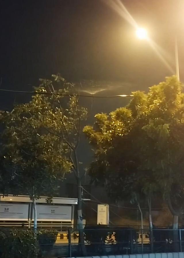 Sprinklers in operation at Rising Homes Society in Sector 92. (HT) Sprinklers in operation at Rising Homes Society in Sector 92. (HT)