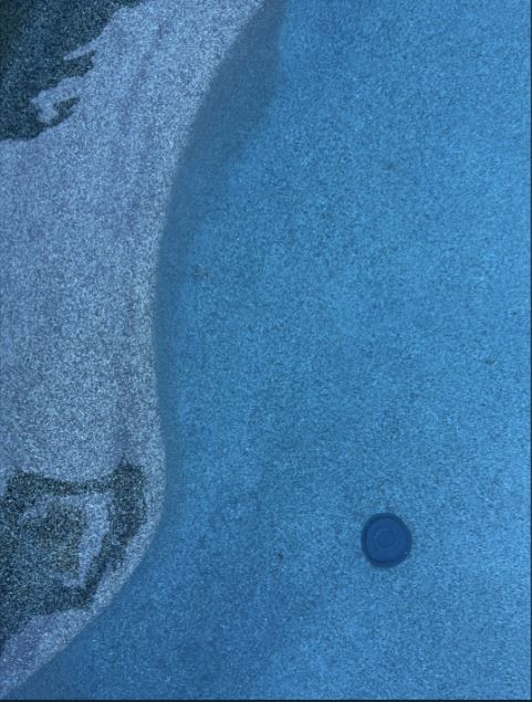 Optical illusion: Spot the frog in this latest brain teaser on Reddit. (Reddit)