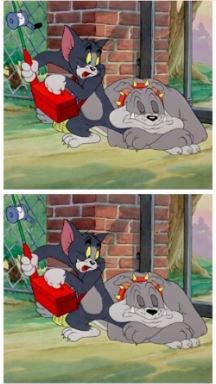 Spot eight differences between the two images. (Reddit)
