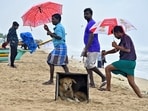 A stray dog takes shelter in a box as people walk on a beach as it drizzles, before Cyclone Montha makes landfall, in Chennai.