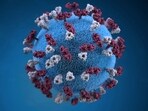 Measles vaccination programs have been instrumental in saving millions of lives over the past two decades. However, outbreaks continue to occur in areas with low vaccination coverage, particularly where children are unvaccinated.