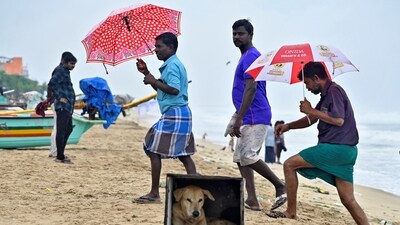 A stray dog takes shelter in a box as people walk on a beach as it drizzles, before Cyclone Montha makes landfall, in Chennai. (REUTERS)
