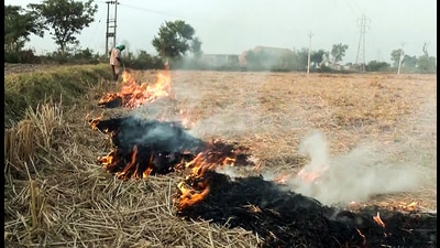 Flames and smoke billow out due to stubble burning in a field,in Tarn Taran. (ANI file) Flames and smoke billow out due to stubble burning in a field,in Tarn Taran. (ANI file)