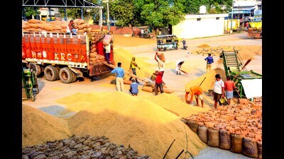 On Tuesday, 5 lakh tonnes of crop arrived in mandis. The total arrivals have crossed 100 lakh tonnes. (ANI file)