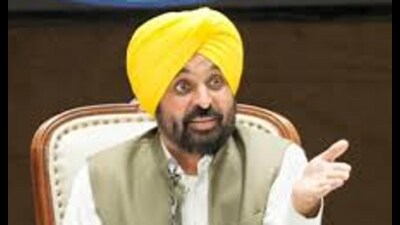 Punjab chief minister Bhagwant Mann