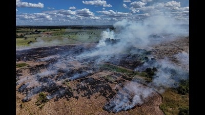 Wildfire smoke was responsible for an annual average of 10,200 deaths from 2020 to 2024, up 28% from 2003-2012. (AFP) Wildfire smoke was responsible for an annual average of 10,200 deaths from 2020 to 2024, up 28% from 2003-2012. (AFP)