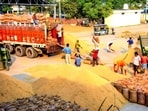 On Tuesday, 5 lakh tonnes of crop arrived in mandis. The total arrivals have crossed 100 lakh tonnes. (ANI file)