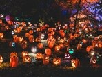 Halloween is celebrated on October 31 every year, on All Hallows’ Eve.(Unsplash)