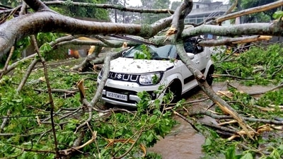 Poor urban management and lack of maintenance are said to be the reason for the collapse of Bengaluru's greenery. (ANI) Poor urban management and lack of maintenance are said to be the reason for the collapse of Bengaluru's greenery. (ANI)