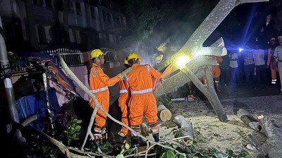తుపాను కారణంగా నేలకొరిగిన చెట్టు (@NDRFHQ) తుపాను కారణంగా నేలకొరిగిన చెట్టు (@NDRFHQ)