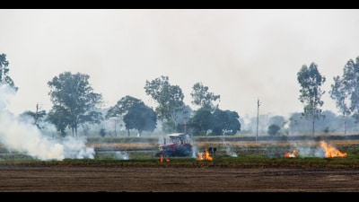 Farmer burns paddy stubble in a village, in Patiala on Wednesday (ANI) Farmer burns paddy stubble in a village, in Patiala on Wednesday (ANI)