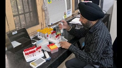 Free testing and treatment of dengue is available at all government hospitals in the district. (Manish/HT) Free testing and treatment of dengue is available at all government hospitals in the district. (Manish/HT)