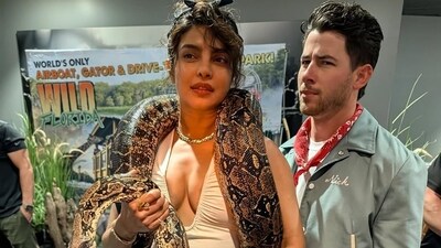 Priyanka Chopra shares daring snake photos, eliciting mixed reactions from fans and a humorous response from Nick Jonas. Priyanka Chopra shares daring snake photos, eliciting mixed reactions from fans and a humorous response from Nick Jonas.