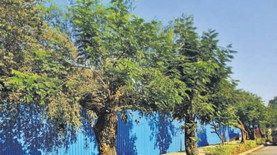 The move, aimed at what the government sees as “rationalising” requirements and balancing land availability with environmental needs. (HT Photo) The move, aimed at what the government sees as “rationalising” requirements and balancing land availability with environmental needs. (HT Photo)