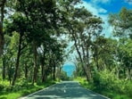The minister’s directive aims to strike a balance between eco-tourism and conservation.