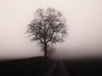 A bleak picture: Krasznahorkai’s Hungary is a post-ideological wreck. (Shutterstock)