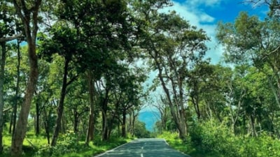 The minister’s directive aims to strike a balance between eco-tourism and conservation. (Instagram/@seasunandsmiles)