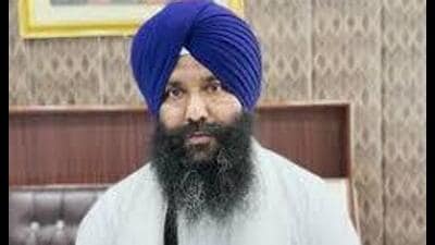 Giani Sultan Singh (HT File)