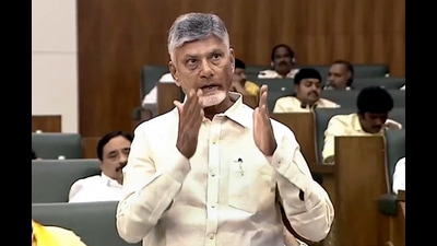 N Chandrababu Naidu (PTI) N Chandrababu Naidu (PTI)