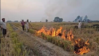 Officials across the districts of Sangrur and Barnala are facing administrative action as authorities crack down on the rising number of stubble burning incidents. (HT Photo)
