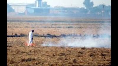 Punjab on Thursday reported 202 fresh farm fire incidents, taking the total count to 1,418 so far this season. This marks the second consecutive day that the state has recorded more than 200 cases, signalling a sharp rise in stubble-burning incidents over the past week. (HT File) Punjab on Thursday reported 202 fresh farm fire incidents, taking the total count to 1,418 so far this season. This marks the second consecutive day that the state has recorded more than 200 cases, signalling a sharp rise in stubble-burning incidents over the past week. (HT File)