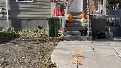Optical Illusion: Only sharp-eyed players can find the real black cat in this Halloween-themed Reddit puzzle (Reddit) Optical Illusion: Only sharp-eyed players can find the real black cat in this Halloween-themed Reddit puzzle (Reddit)