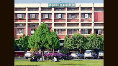 The PAU pensioners’ association says it has been waiting for arrears since 2016. (HT Photo) The PAU pensioners’ association says it has been waiting for arrears since 2016. (HT Photo)